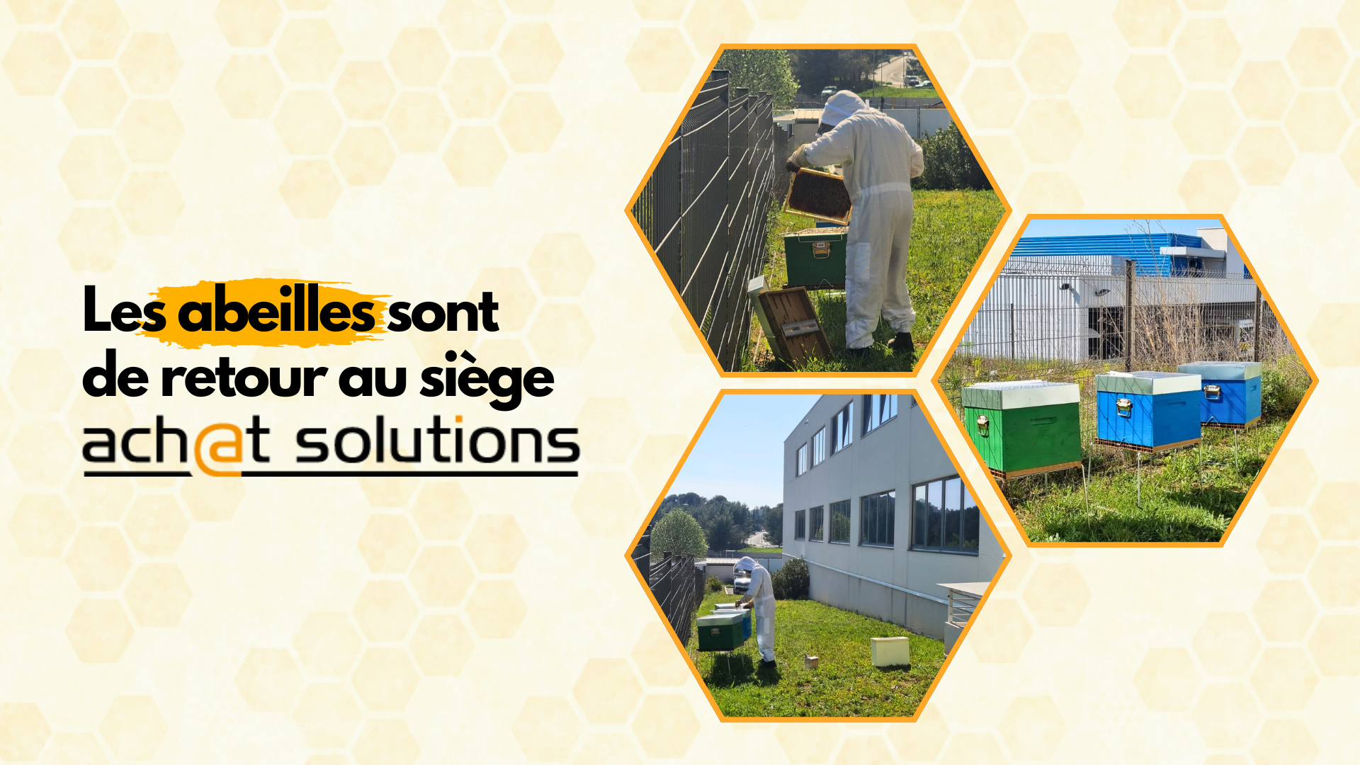 Abeilles Achat Solutions